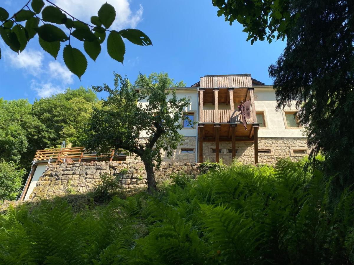 Luxusboofe - Ferienhaus Am Lilienstein Konigstein an der Elbe Exterior photo